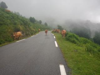 Ascension du col d'Aspin